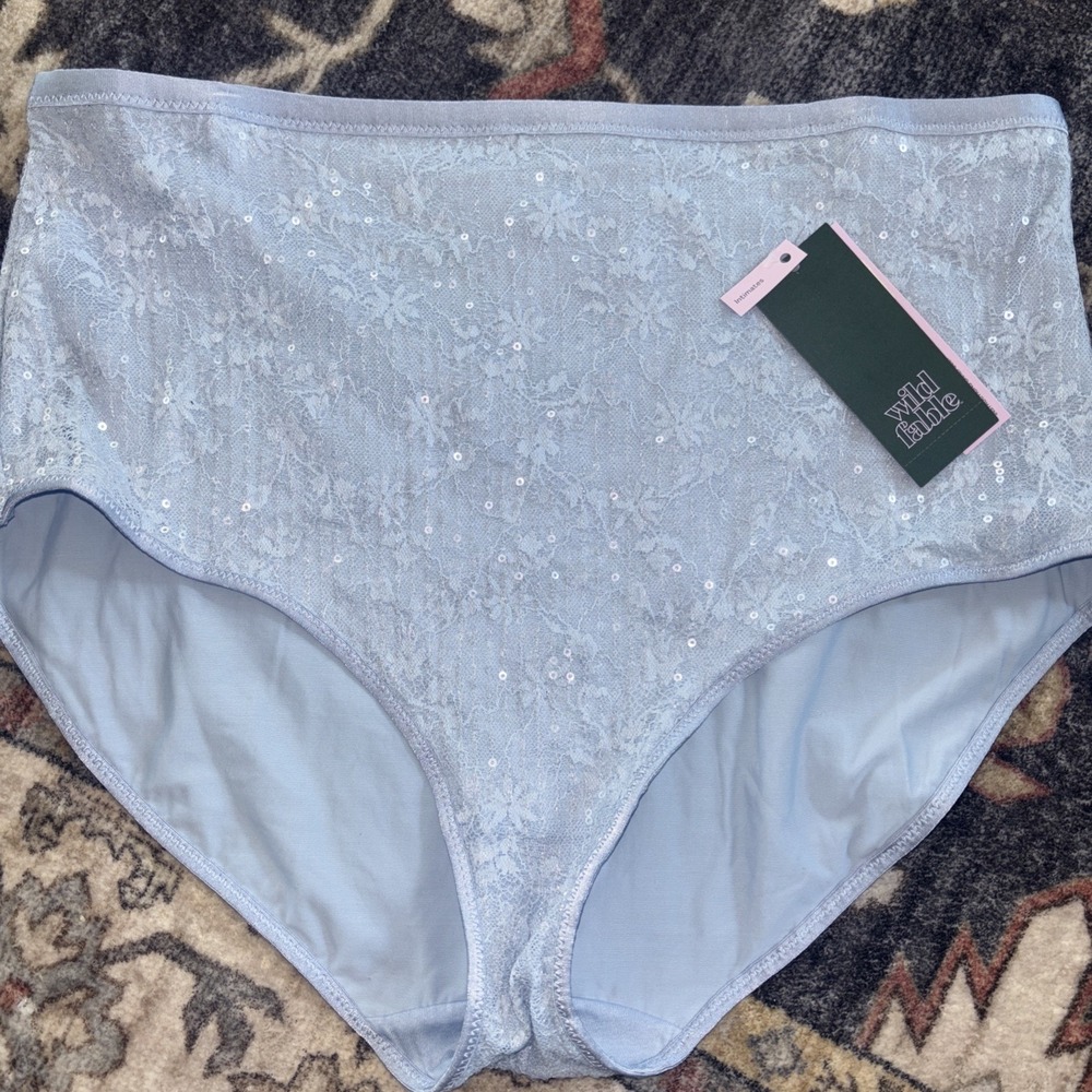 Wild Fable Blue Sequin Floral Lace High Waist Brief Panties Size XL